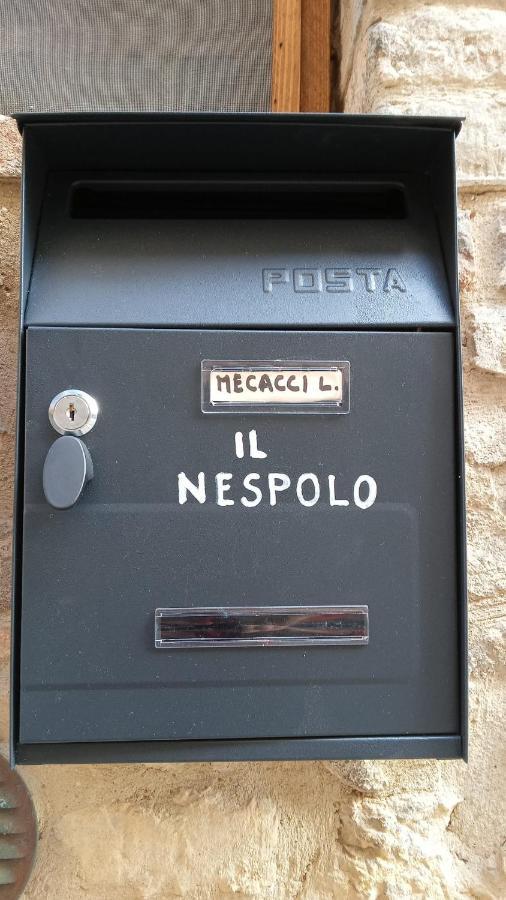 Appartamento Il Nespolo ซานจีมิญญาโน ภายนอก รูปภาพ